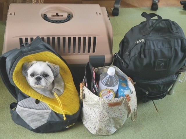 犬との同行避難を考える④持ち運びしやすいケージ（クレート）を探す: 犬と一緒に生きる40代女性の（元婚活）ブログ